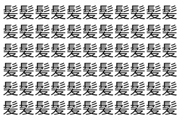 【脳トレ】「髪」の中に紛れて1つ違う文字がある！？あなたは何秒で探し出せるかな？？【違う文字を探せ！】