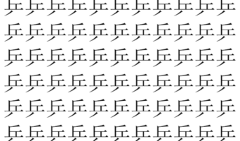 【脳トレ】「乒」の中に紛れて1つ違う文字がある！？あなたは何秒で探し出せるかな？？【違う文字を探せ！】