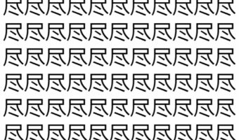 【脳トレ】「尽」の中に紛れて1つ違う文字がある!?あなたは何秒で探し出せるかな??【違う文字を探せ!】