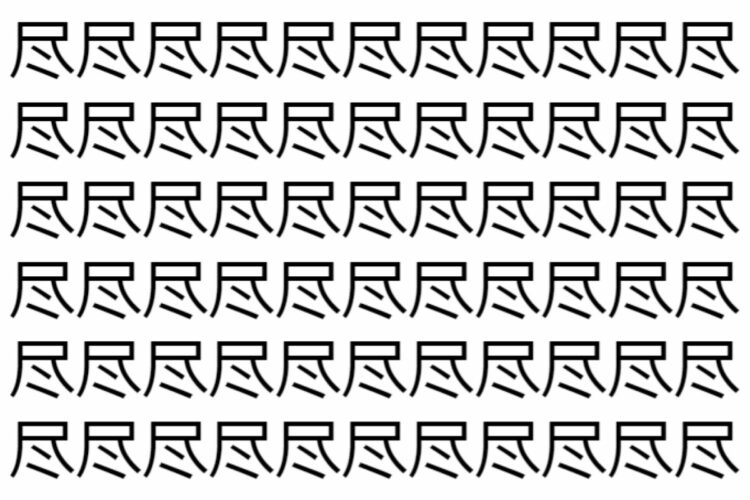 【脳トレ】「尽」の中に紛れて1つ違う文字がある！？あなたは何秒で探し出せるかな？？【違う文字を探せ！】