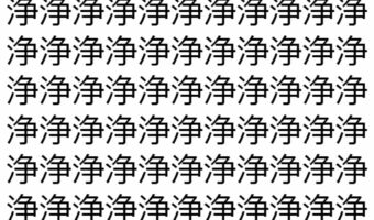【脳トレ】「浄」の中に紛れて1つ違う文字がある!?あなたは何秒で探し出せるかな??【違う文字を探せ!】