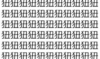 【脳トレ】「狃」の中に紛れて1つ違う文字がある！？あなたは何秒で探し出せるかな？？【違う文字を探せ！】