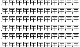 【脳トレ】「厈」の中に紛れて1つ違う文字がある！？あなたは何秒で探し出せるかな？？【違う文字を探せ！】