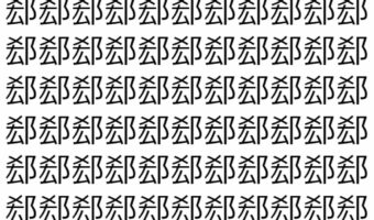【脳トレ】「郄」の中に紛れて1つ違う文字がある!?あなたは何秒で探し出せるかな??【違う文字を探せ!】