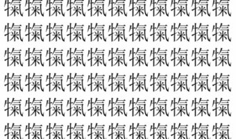 【脳トレ】「犔」の中に紛れて1つ違う文字がある!?あなたは何秒で探し出せるかな??【違う文字を探せ!】