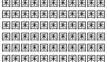 【脳トレ】「囷」の中に紛れて1つ違う文字がある!?あなたは何秒で探し出せるかな??【違う文字を探せ!】