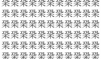 【脳トレ】「䅃」の中に紛れて1つ違う文字がある!?あなたは何秒で探し出せるかな??【違う文字を探せ!】