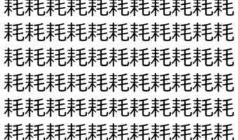 【脳トレ】「耗」の中に紛れて1つ違う文字がある！？あなたは何秒で探し出せるかな？？【違う文字を探せ！】
