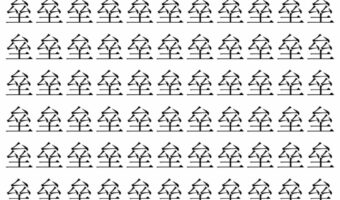 【脳トレ】「垒」の中に紛れて1つ違う文字がある!?あなたは何秒で探し出せるかな??【違う文字を探せ!】