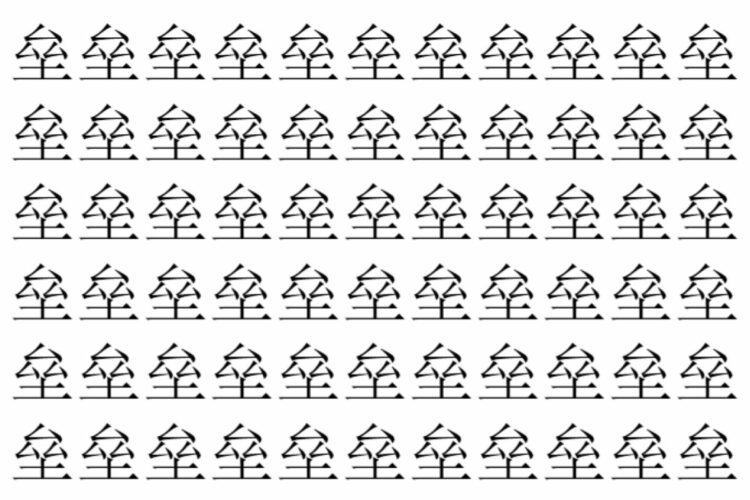 【脳トレ】「垒」の中に紛れて1つ違う文字がある！？あなたは何秒で探し出せるかな？？【違う文字を探せ！】