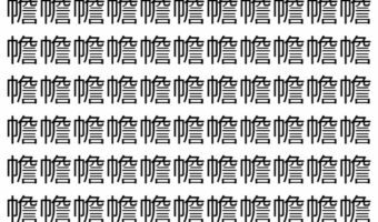 【脳トレ】「幨」の中に紛れて1つ違う文字がある!?あなたは何秒で探し出せるかな??【違う文字を探せ!】