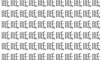 【脳トレ】「眡」の中に紛れて1つ違う文字がある!?あなたは何秒で探し出せるかな??【違う文字を探せ!】