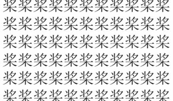 【脳トレ】「桨」の中に紛れて1つ違う文字がある！？あなたは何秒で探し出せるかな？？【違う文字を探せ！】