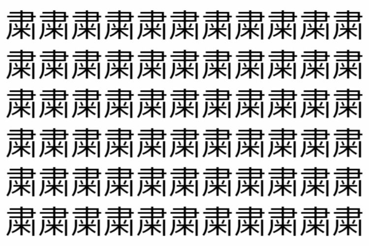 【脳トレ】「粛」の中に紛れて1つ違う文字がある！？あなたは何秒で探し出せるかな？？【違う文字を探せ！】