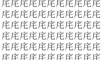 【脳トレ】「㡯」の中に紛れて1つ違う文字がある!?あなたは何秒で探し出せるかな??【違う文字を探せ!】