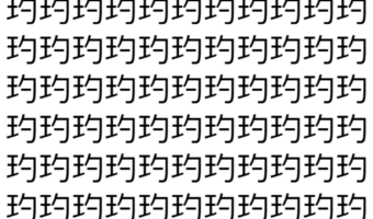 【脳トレ】「玓」の中に紛れて1つ違う文字がある!?あなたは何秒で探し出せるかな??【違う文字を探せ!】