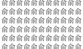 【脳トレ】「俞」の中に紛れて1つ違う文字がある!?あなたは何秒で探し出せるかな??【違う文字を探せ!】