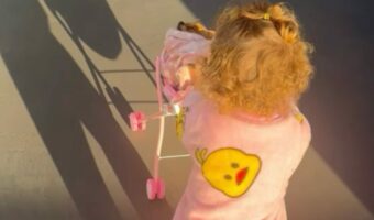 赤ちゃんが押すベビーカーに乗るのはチワワ!?おままごとに付き合ってくれているの?【海外・動画】