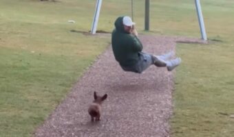 ジップラインに乗った飼い主さんを追いかけろ!ダックスフンドが全力ダッシュ!!【海外・動画】