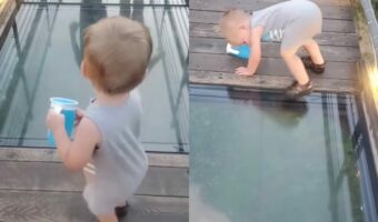 「よし！今日はこのくらいで勘弁してやろう」ガラス張りのつり橋を渡ろうとした男の子の行動が超かわいい！