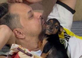 パパさん大好き！ぎゅっとくっついて離れない愛犬がかわいすぎる【海外・動画】