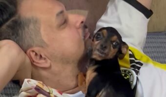 パパさん大好き！ぎゅっとくっついて離れない愛犬がかわいすぎる【海外・動画】