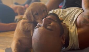 体もほぐれ心癒されるドッグヨガだけど・・子犬が懐きすぎて心はとろけるけどヨガに集中できない！？【海外・動画】