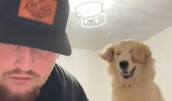 子犬はおなかペコペコだけど元気いっぱい！？ごはんの準備に気が付いてジャンプ！ジャンプ！！【アメリカ・動画】