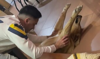 愛犬がのびの~び!飼い主さんにストレッチを施してもらってニッコリ!【海外・動画】