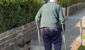 一緒におさんぽ！おじいちゃんの歩調に合わせるネコにほっこり【海外・動画】