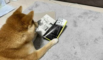 柴犬がマンガを読んでいる!?「しかも手でおさえてて人間みたい」「音読してほしい」