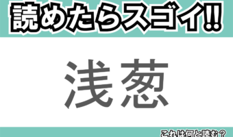 【読めたらスゴイ!】「浅葱」とは一体何のこと!?野菜が由来の色ですが・・・この漢字を読めますか?