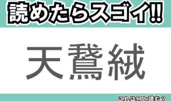 【読めたらスゴイ！】「天鵞絨」とは一体何のこと！？戦国大名も好んだ織物ですが・・・この漢字を読めますか？