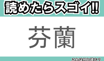 【読めたらスゴイ!】「芬蘭」とは一体何のこと!?北欧の国のひとつですが・・・この漢字を読めますか?