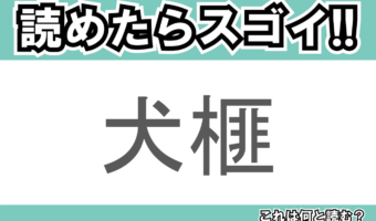 【読めたらスゴイ!】「犬榧」とは一体何のこと!?細長い形の葉が特徴的な植物ですが・・・この漢字を読めますか?