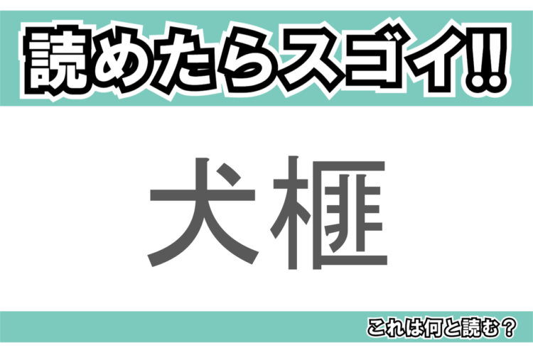 【読めたらスゴイ！】「犬榧」とは一体何のこと！？細長い形の葉が特徴的な植物ですが・・・この漢字を読めますか？