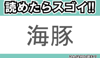 【読めたらスゴイ!】「海豚」とは一体何のこと!?とても賢い水族館の人気者ですが・・・この漢字を読めますか?