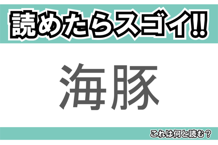 【読めたらスゴイ！】「海豚」とは一体何のこと！？とても賢い水族館の人気者ですが・・・この漢字を読めますか？