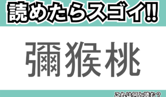 【読めたらスゴイ！】「彌猴桃」とは一体何のこと！？酸味と甘みの合わさった南国フルーツですが・・・この漢字を読めますか？