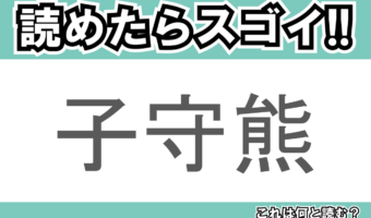 【読めたらスゴイ!】「子守熊」とは一体何のこと!?オーストラリアに生息する動物園の人気者ですが・・・この漢字を読めますか?