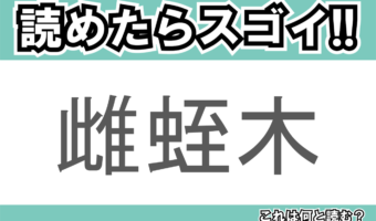 【読めたらスゴイ!】「雌蛭木」とは一体何のこと!?マングローブ林を作る樹木の一種ですが・・・この漢字を読めますか?