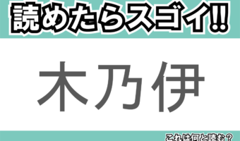 【読めたらスゴイ!】「木乃伊」とは一体何のこと!?「木」という漢字こそ含まれていますが・・この漢字を読めますか?