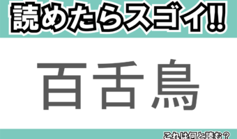 【読めたらスゴイ!】「百舌鳥」とは一体何のこと!?漢字は3文字なのに読みは2文字の鳥ですが・・・この漢字を読めますか?