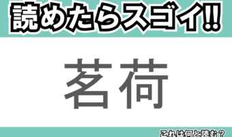 【読めたらスゴイ!】「茗荷」とは一体何のこと!?薬味となる植物ですが・・・この漢字を読めますか?