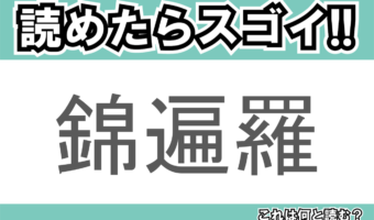 【読めたらスゴイ!】「錦遍羅」とは一体何のこと!?極彩色の美しい魚ですが・・・この漢字を読めますか?