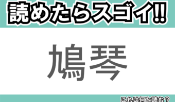 【読めたらスゴイ！】「鳩琴」とは一体何のこと！？リコーダーに似た演奏方法をする楽器ですが・・・この漢字を読めますか？