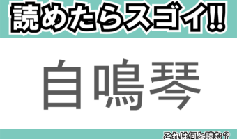 【読めたらスゴイ！】「自鳴琴」とは一体何のこと！？リラックスできる音色を自動で奏でる装置ですが・・・この漢字を読めますか？