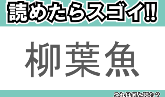 【読めたらスゴイ！】「柳葉魚」とは一体何のこと！？食卓やおつまみとしてもおなじみの魚ですが・・・この漢字を読めますか？