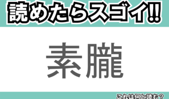 【読めたらスゴイ!】「素朧」とは一体何のこと!?炒めたお肉や卵をほぐした食べ物ですが・・・この漢字を読めますか?