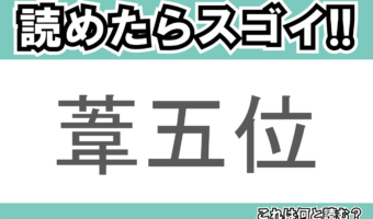 【読めたらスゴイ!】「葦五位」とは一体何のこと!?サギの仲間となる鳥ですが・・・この漢字を読めますか?